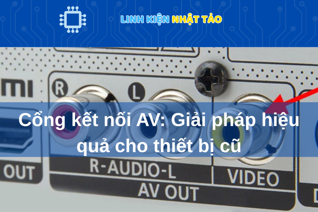 Cổng AV 01