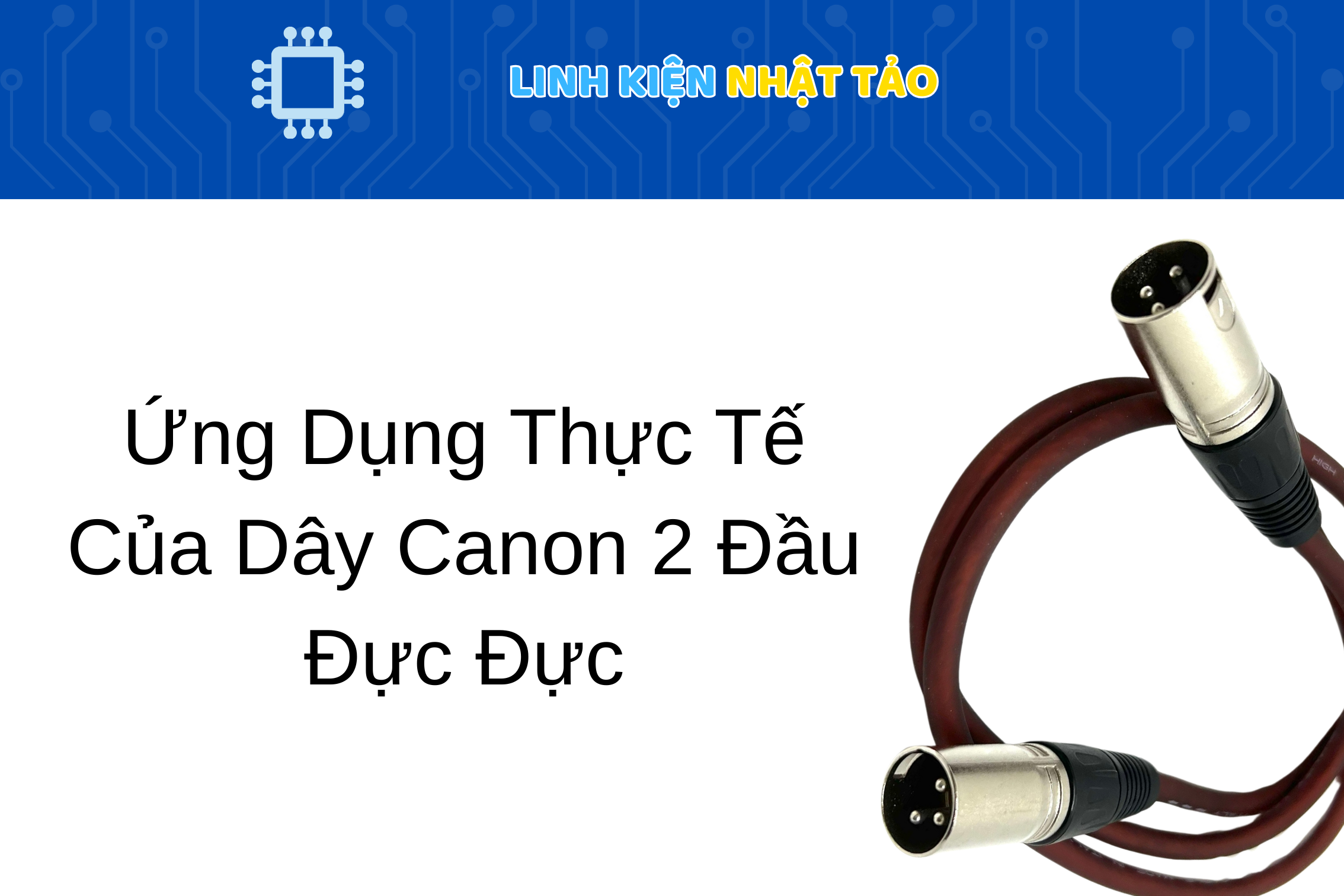 Dây Canon 2 Đầu Đực Đực 02