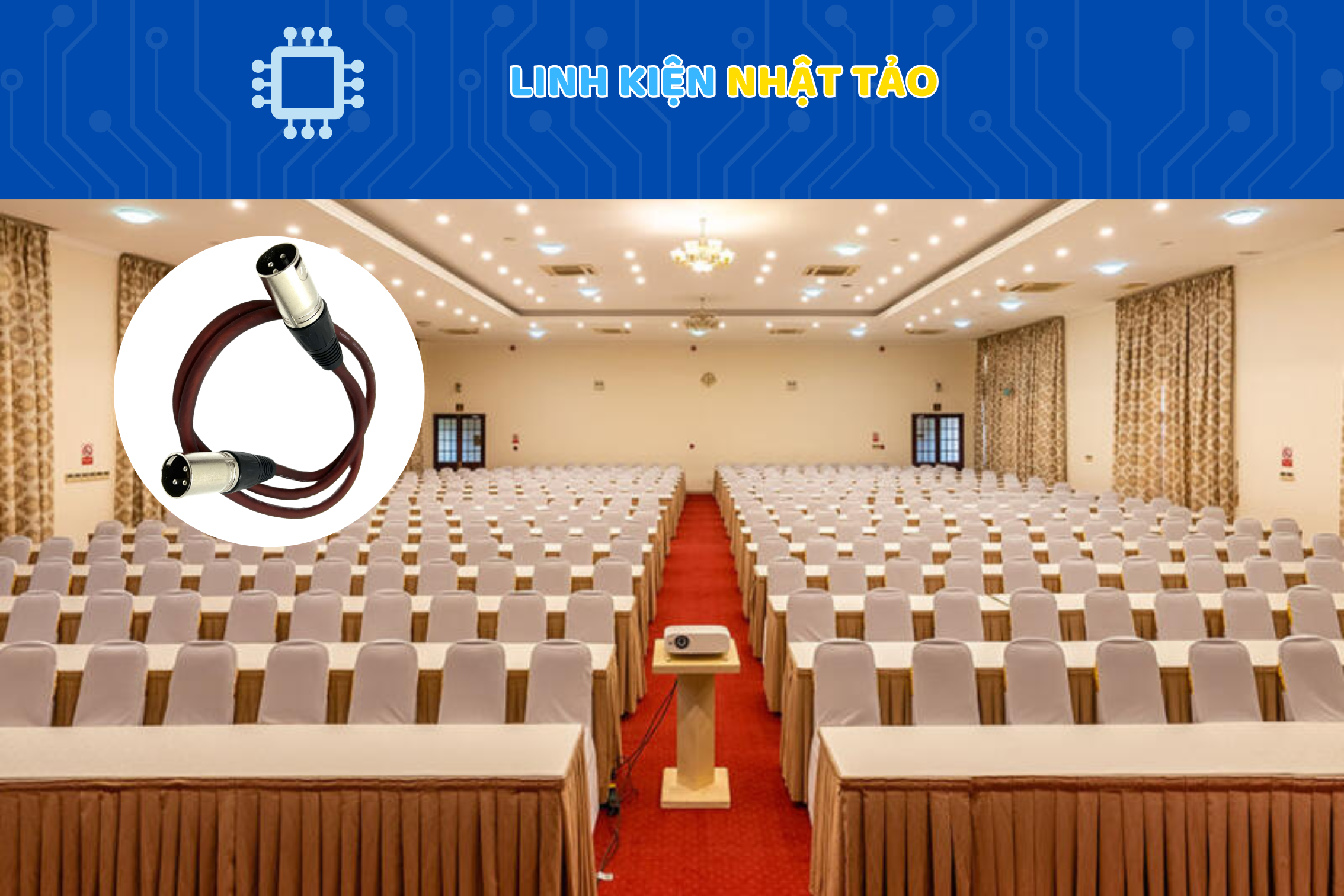 Dây Canon 2 Đầu Đực Đực 03