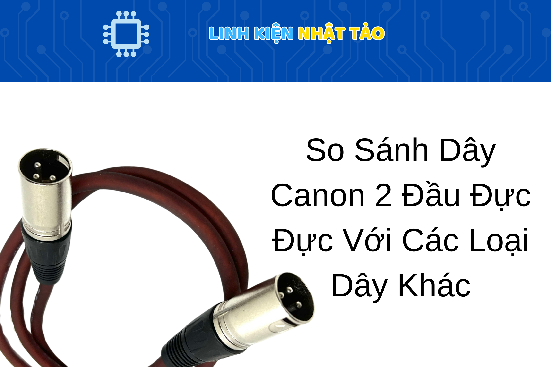 Dây Canon 2 Đầu Đực Đực 05